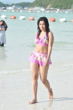 Payal Ghosh (Harika) in Bikini Swimwear Photoshoot on 30th May 2010 (134).JPG